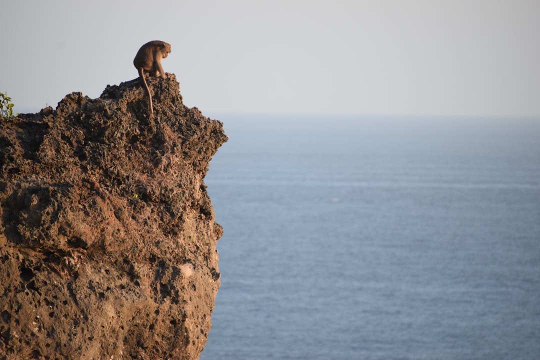 Cliff photo spot Bali Uluwatu Temple