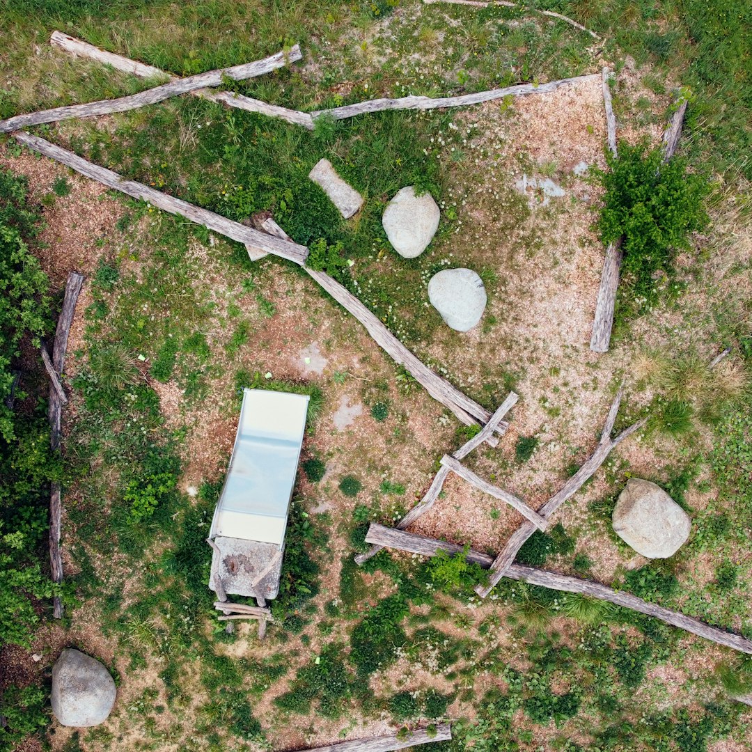 white and gray usb flash drive on brown and green grass