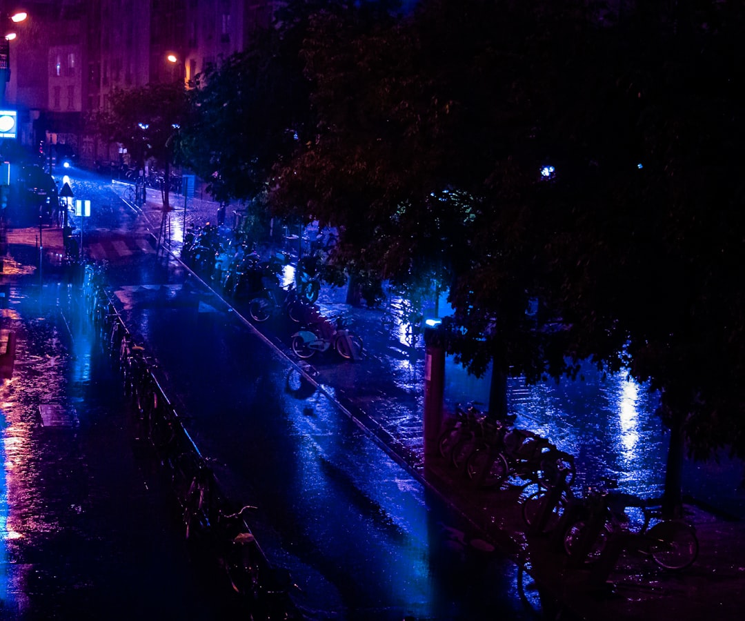 people walking on sidewalk during night time