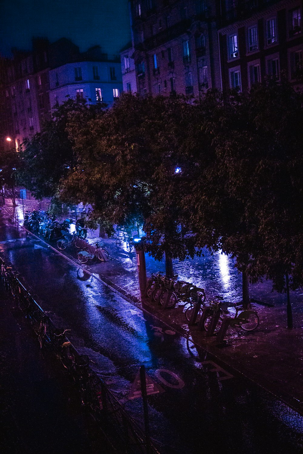 green tree with string lights during night time