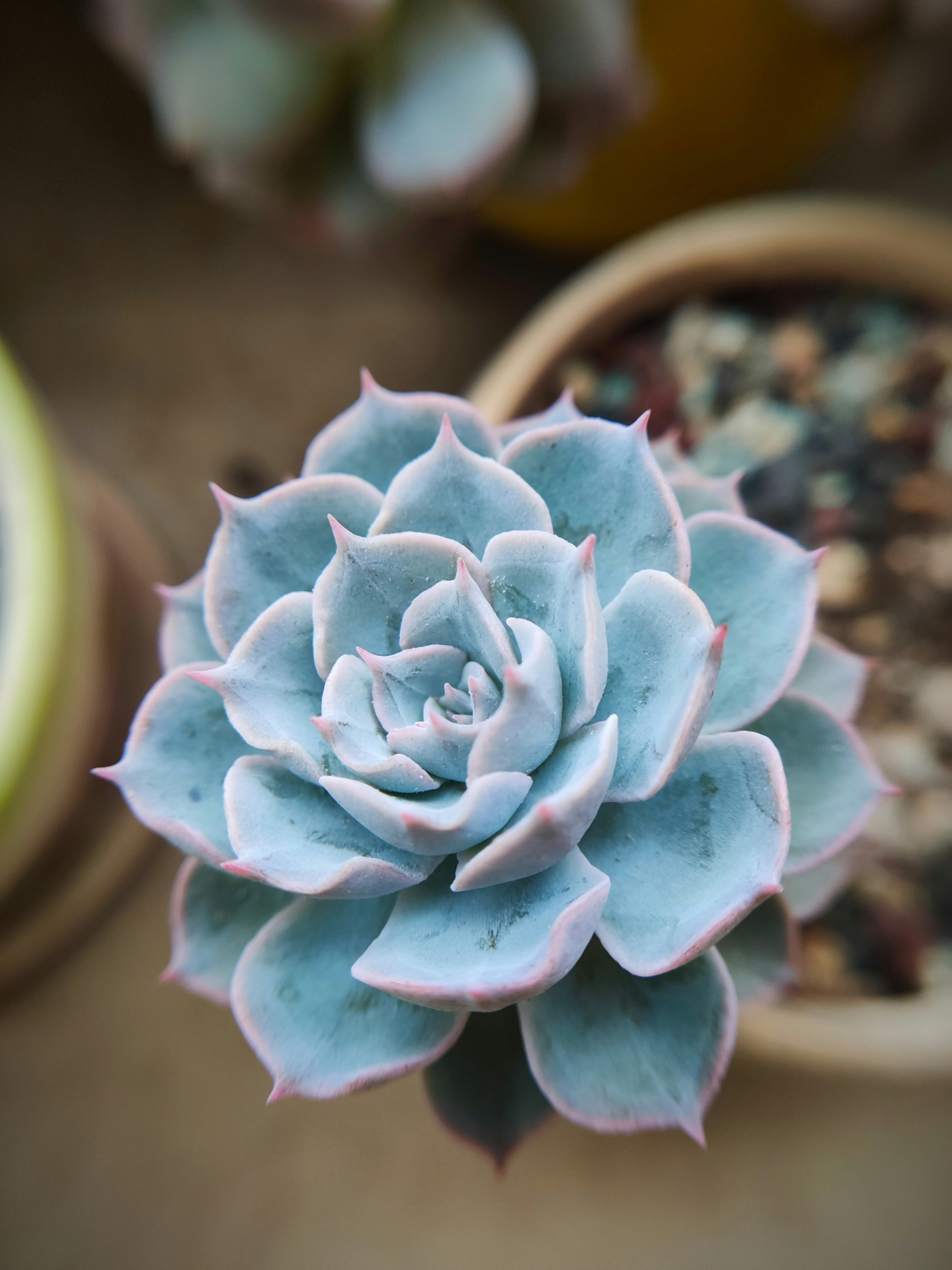 Photo by 1036693379a