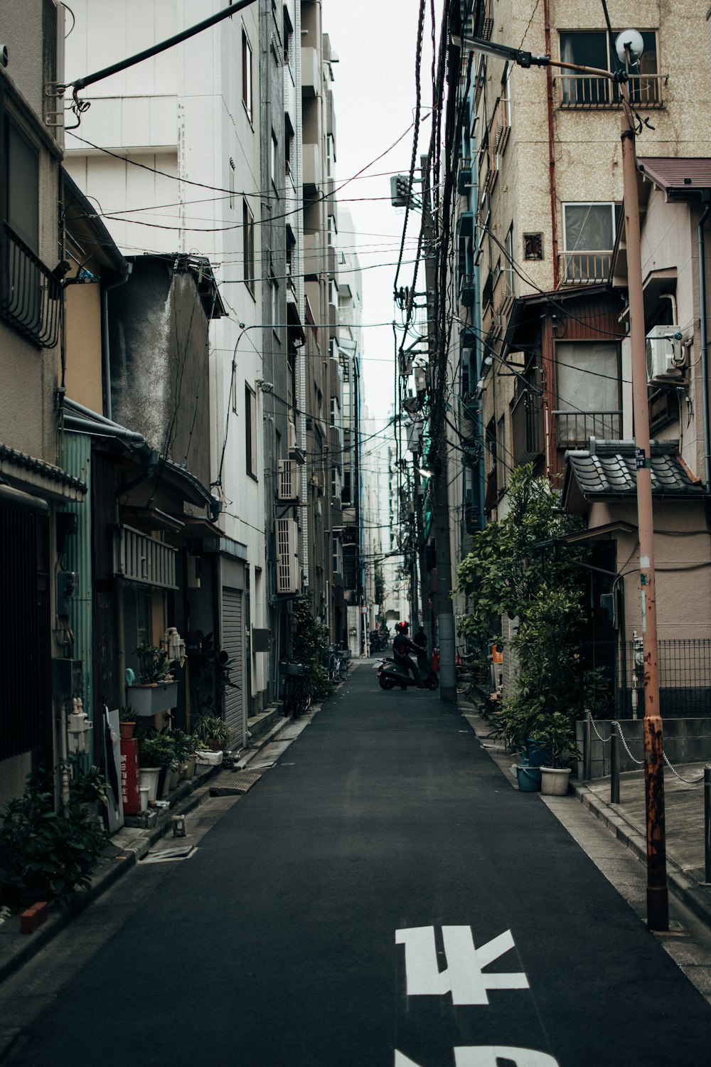 empty street between houses during daytime