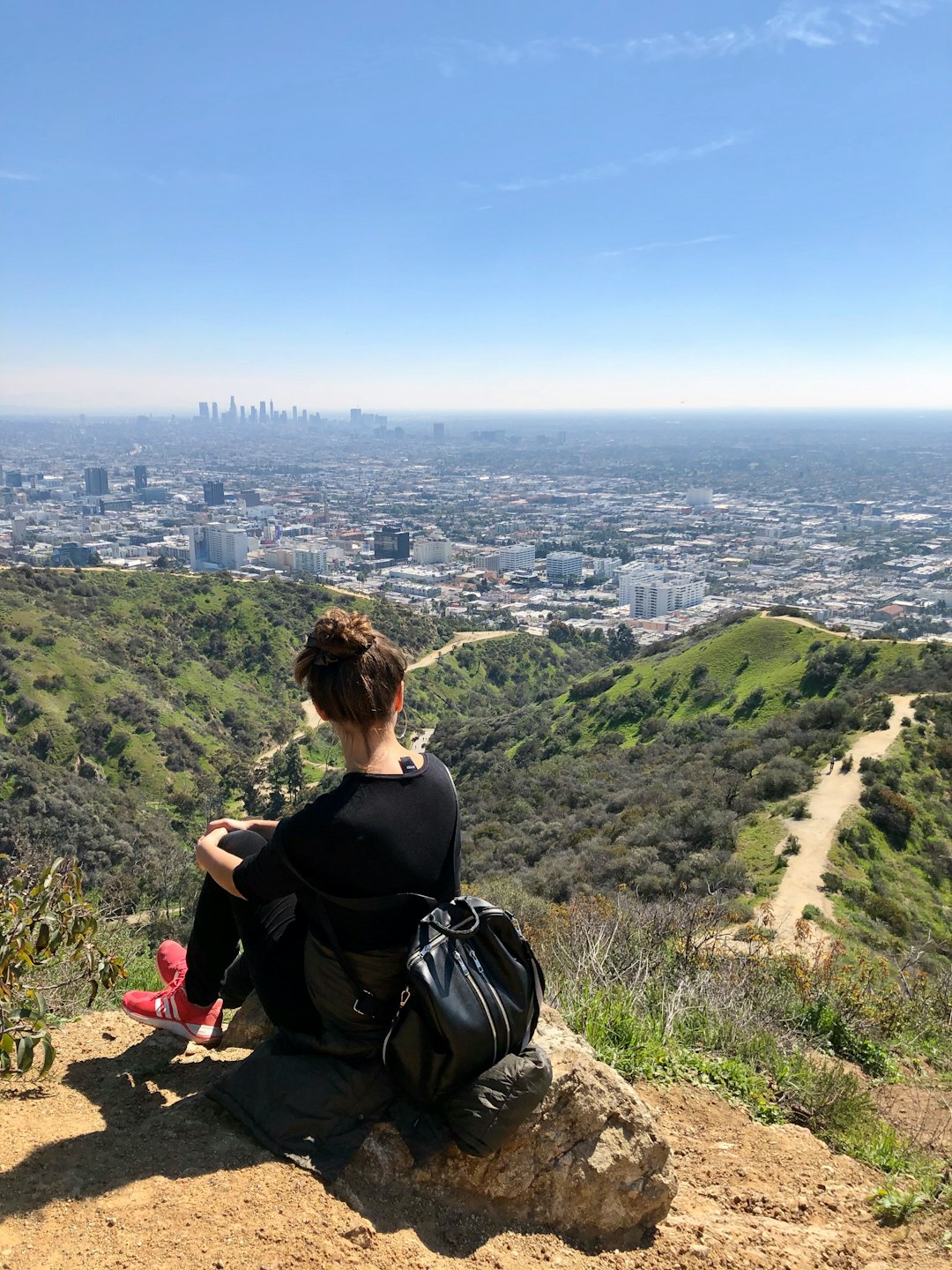 Santa Monica Mountains National Recreation Area - From Runyon Canyon Flag, United States