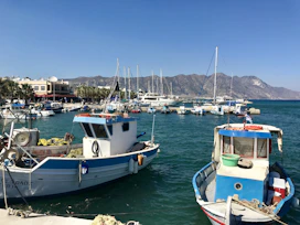 white and blue boat on sea during daytime