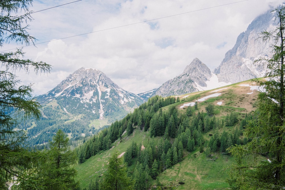 green trees near snow covered mountain during daytime