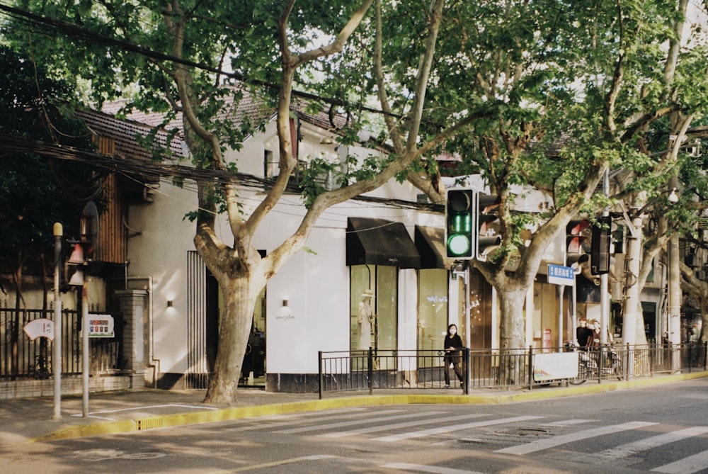 green and brown tree near white building