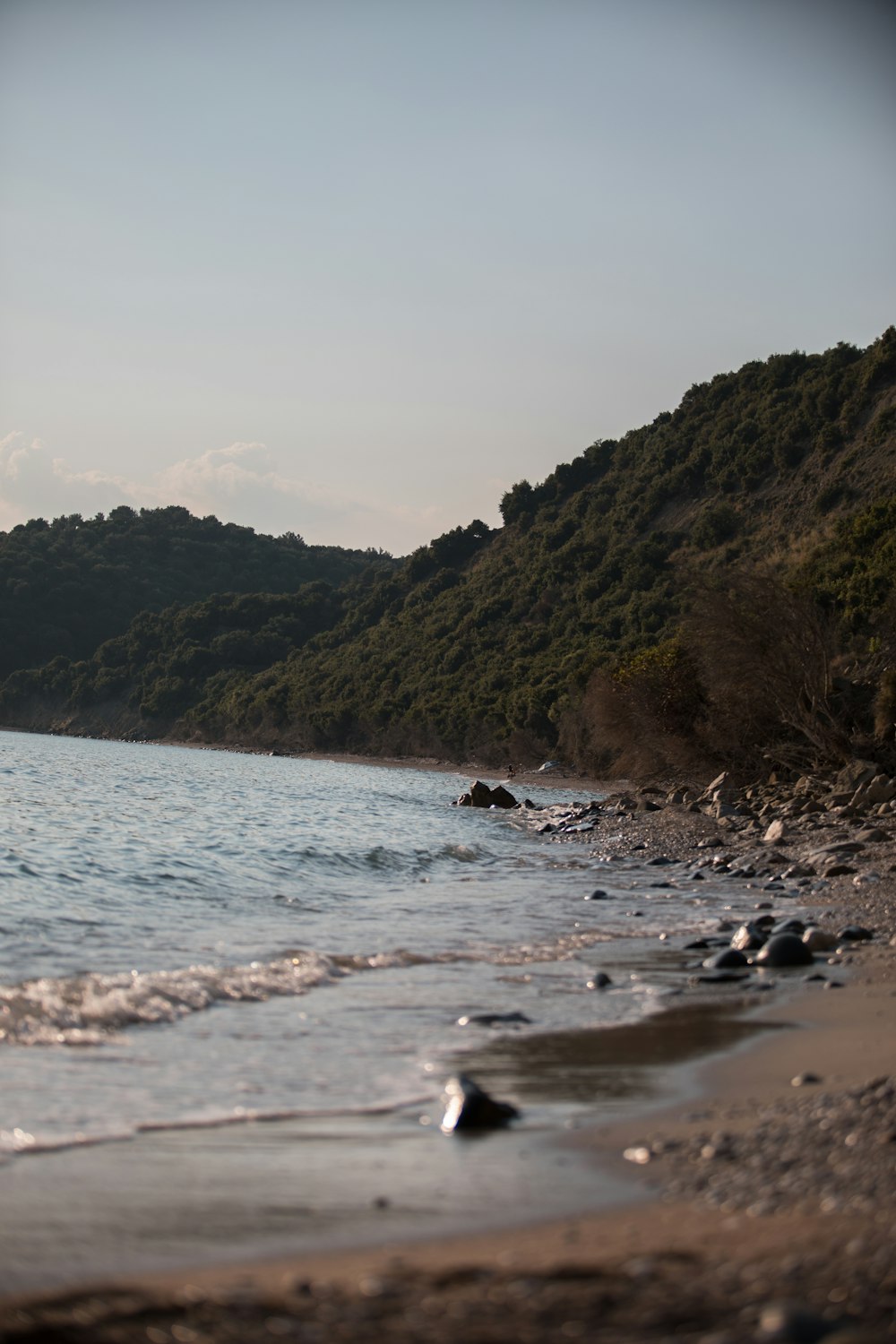 Montaña verde al lado del cuerpo de agua durante el día