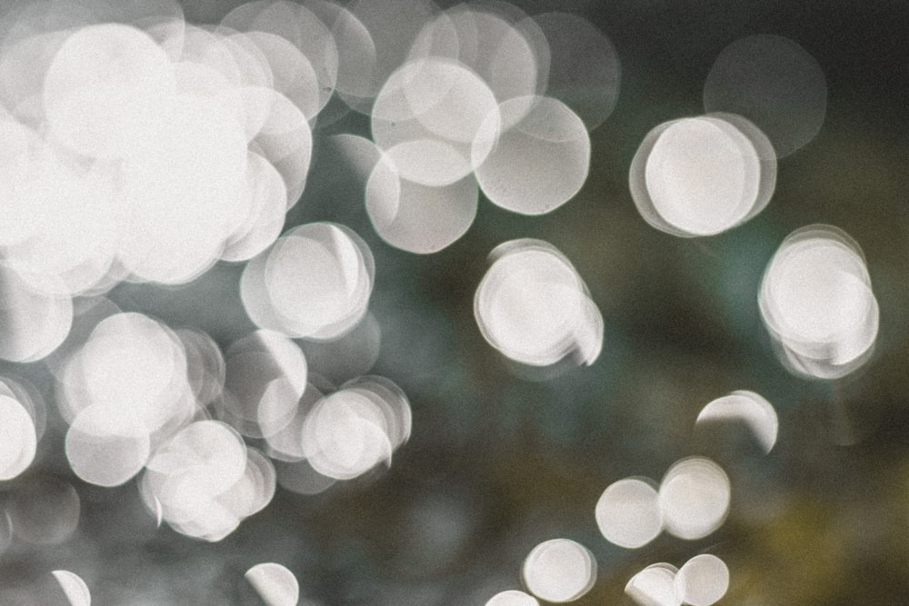 Miljard Tektonisch Bedenken Lens Blur Pictures | Download Free Images on Unsplash