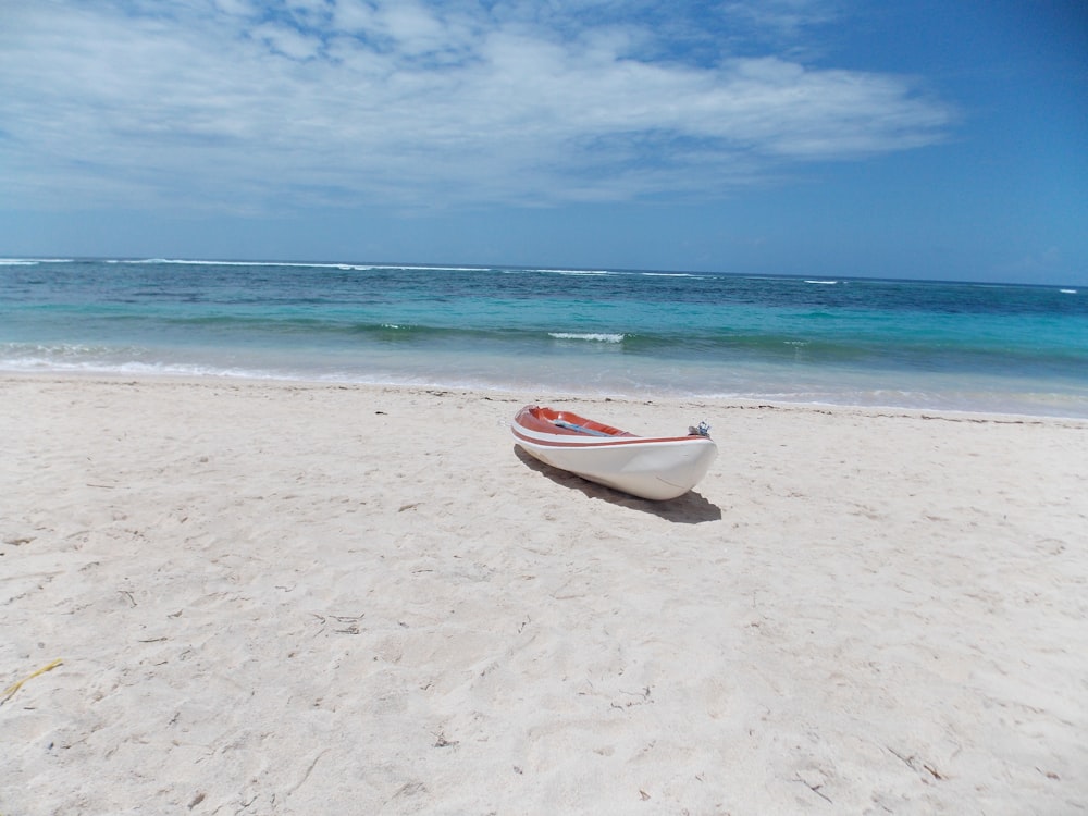 white and red boat on beach during daytime