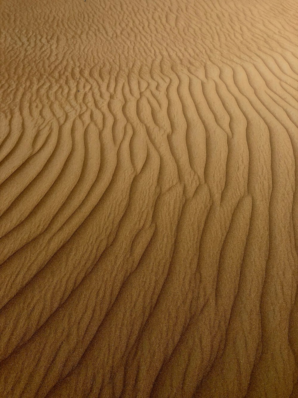 brown sand with shadow of person