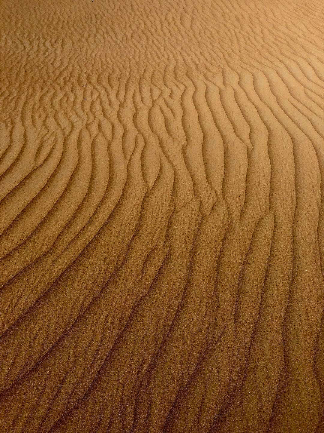 Desert photo spot Margham Sharjah Desert Park
