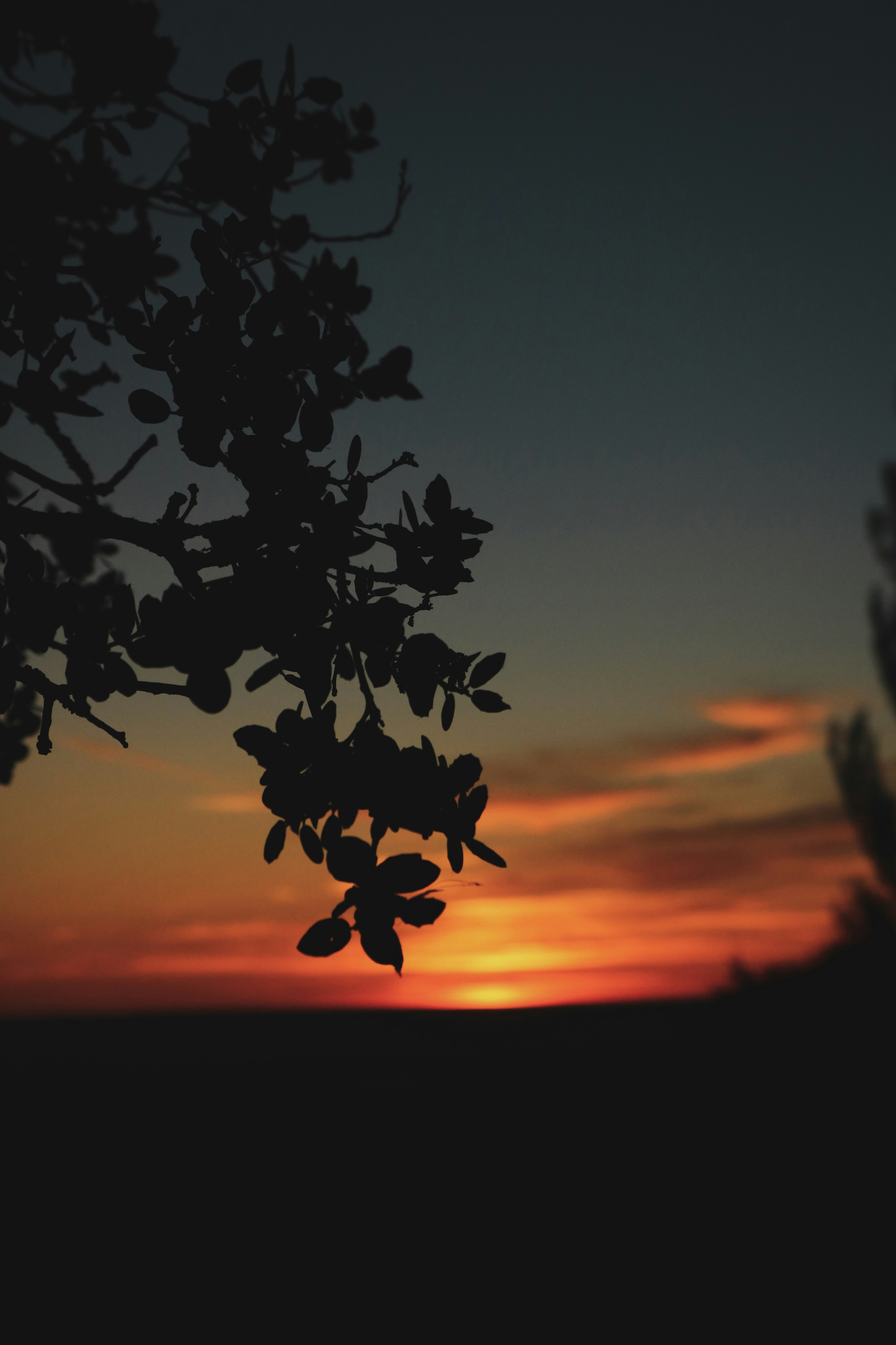 Photo by robbers97