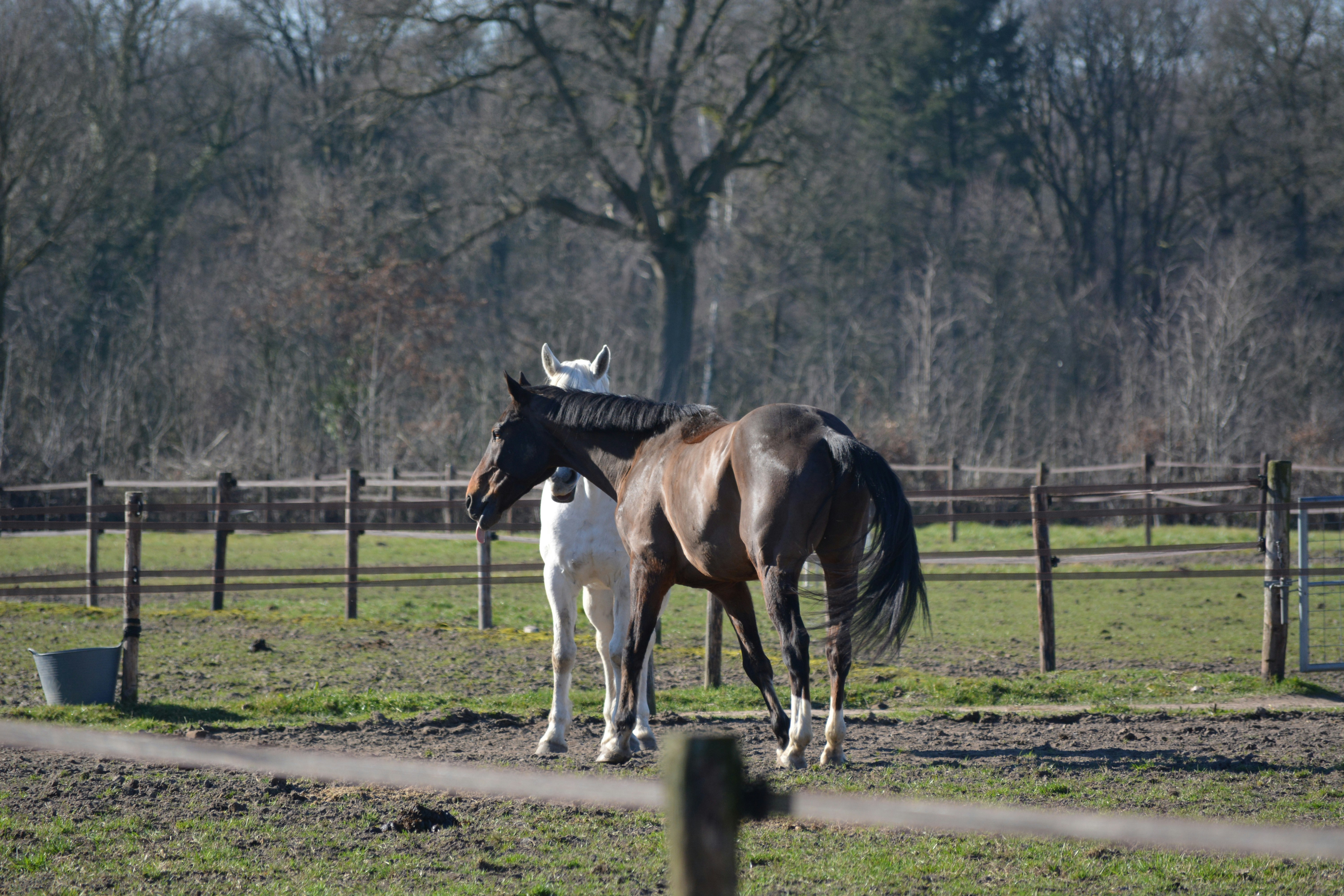 Photo by smartlilwitch