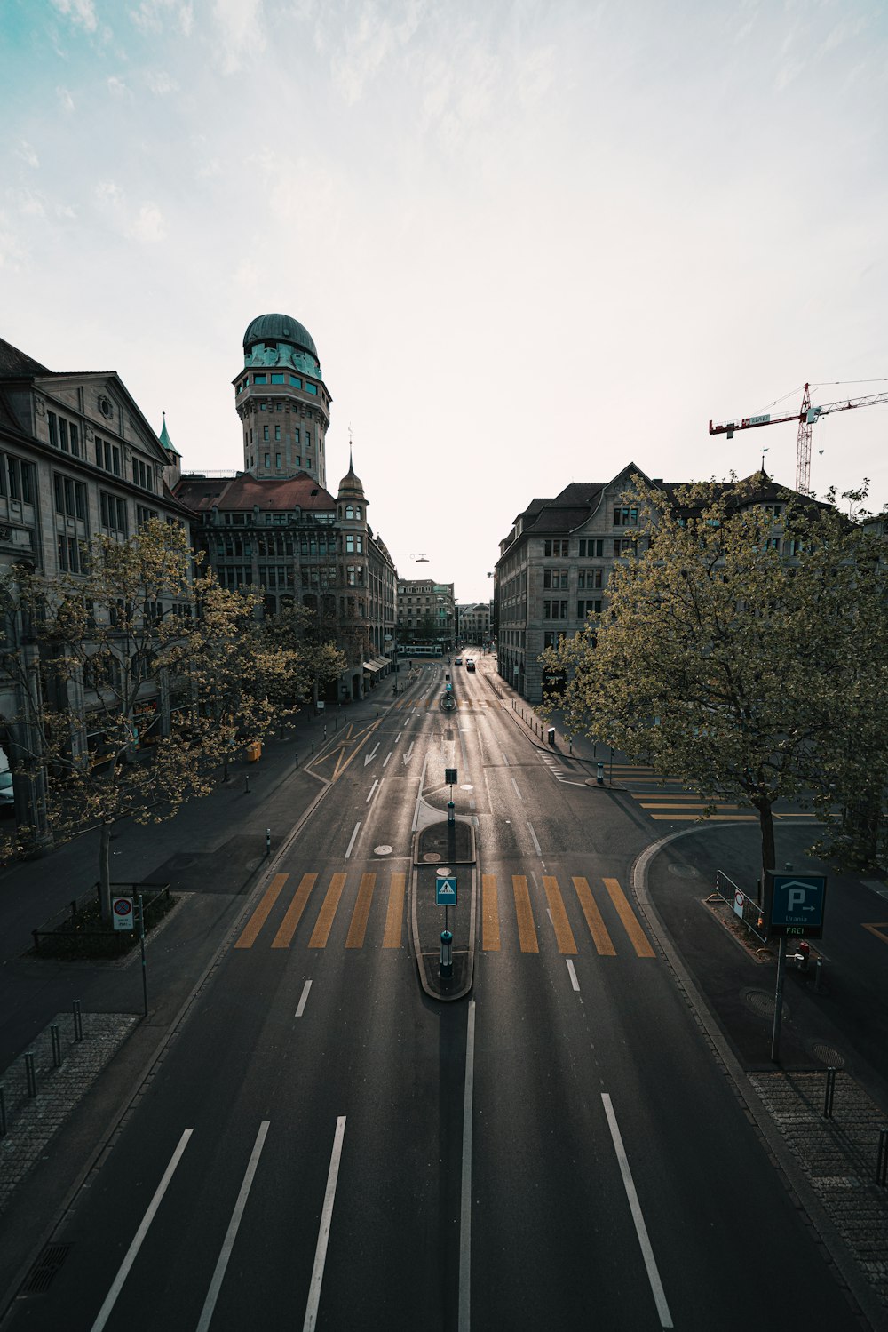 cars on road near buildings during daytime