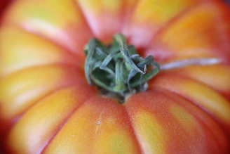 Close-up of a vibrant, ripe crimson tomato on a parchment background.