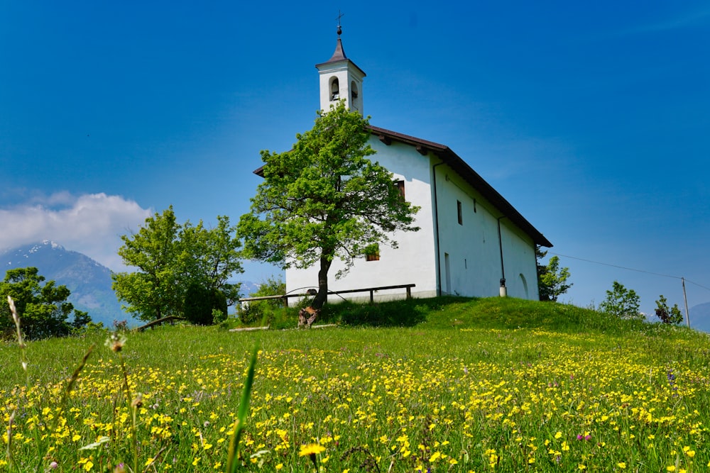 white and brown church near green tree under blue sky during daytime