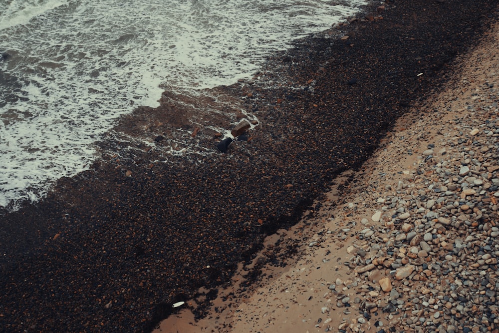 person in black shirt walking on brown sand beach during daytime