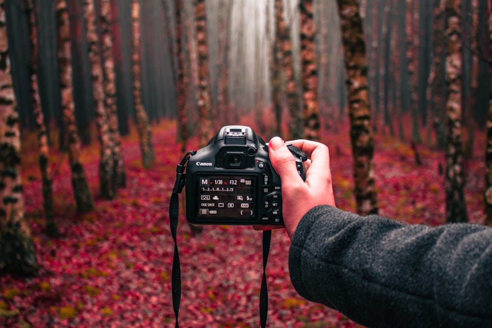 person holding black dslr camera