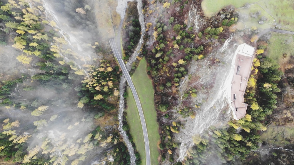 aerial view of road between green grass and trees