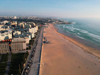 people walking on beach shore during daytime