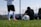 man in black t-shirt and white shorts playing soccer during daytime