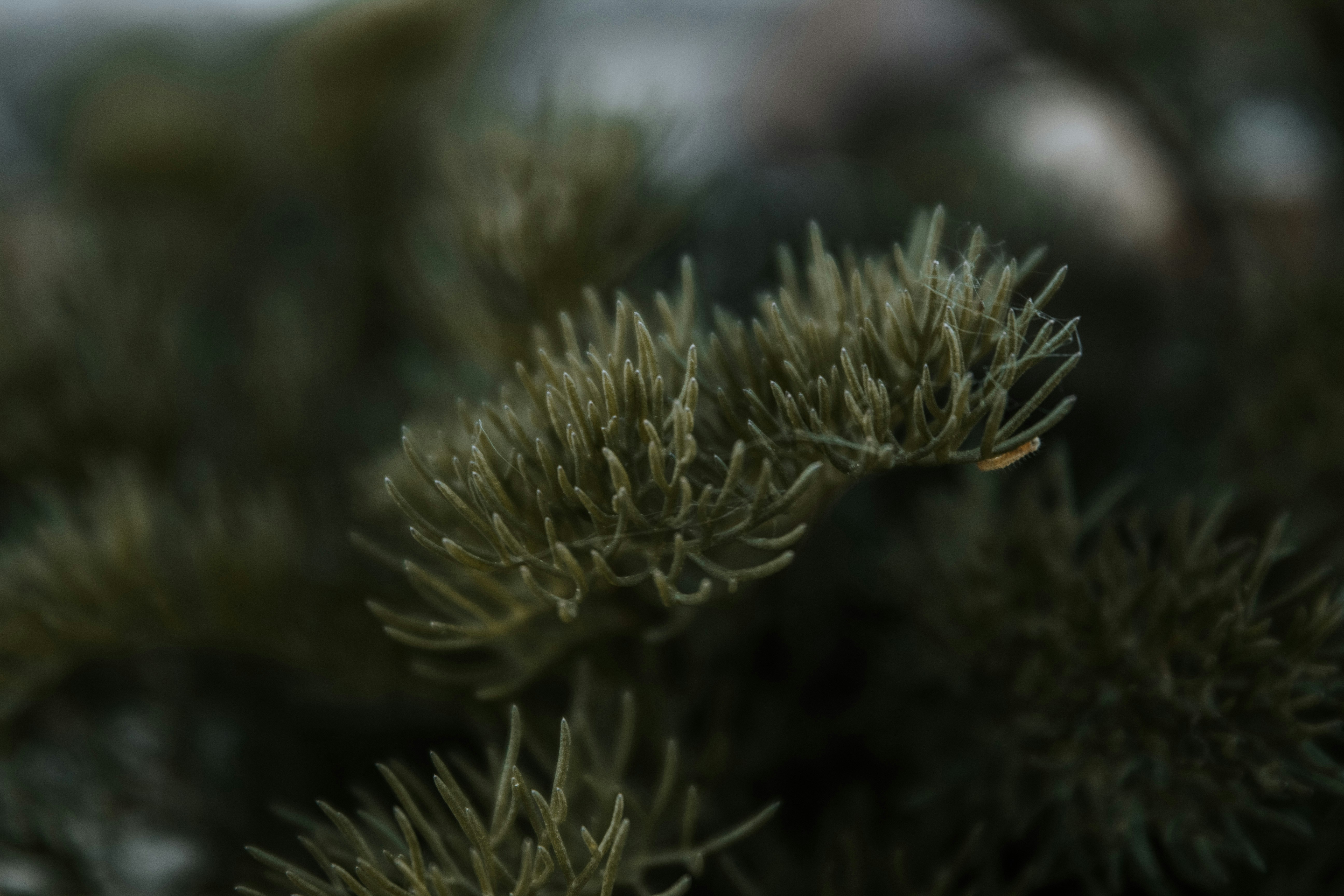 Photo by augustijnfotografie