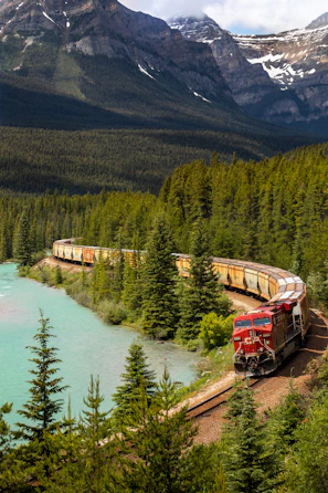red and white train on rail near body of water during daytime