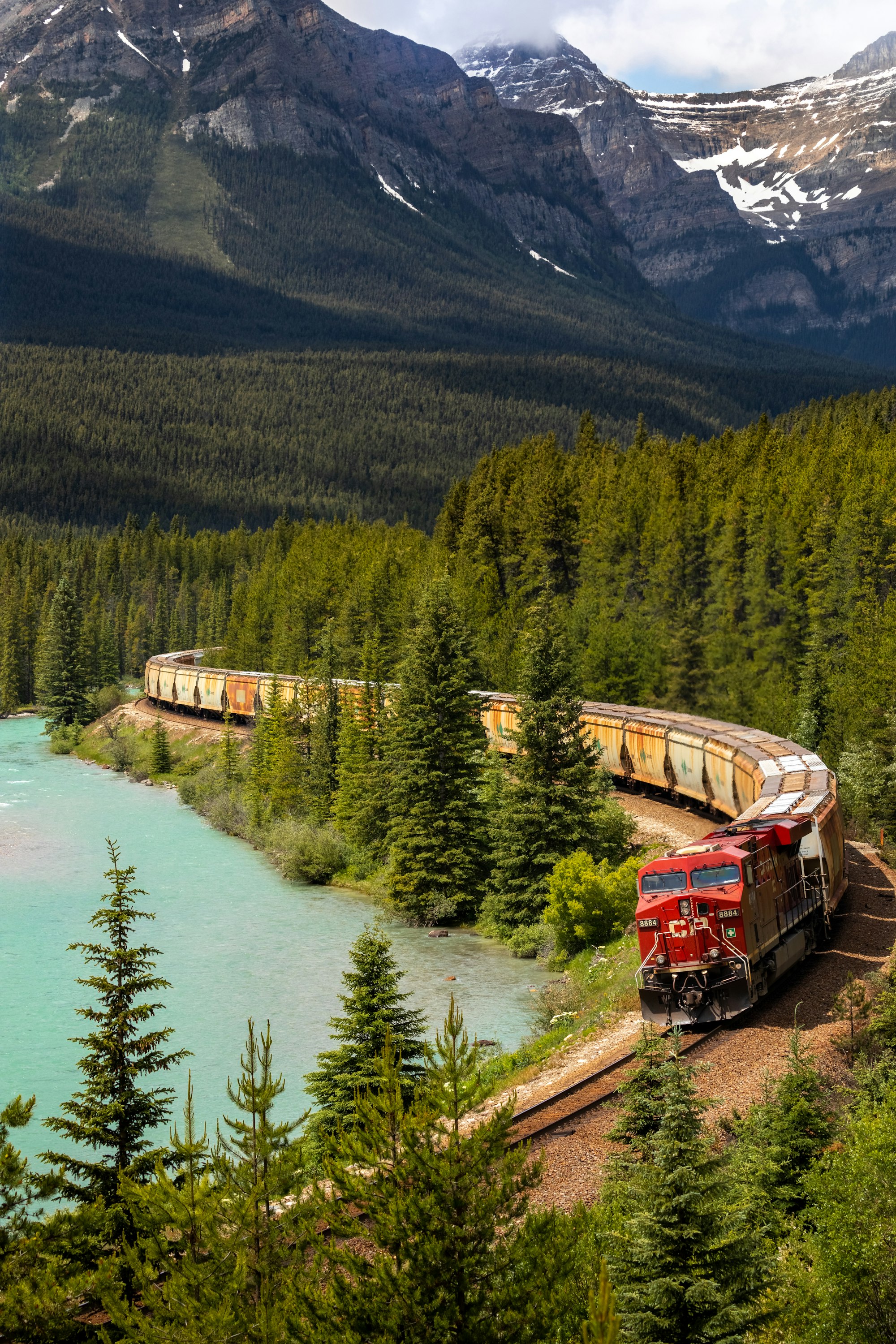 A freight train winds it way along a river through a pine forest.