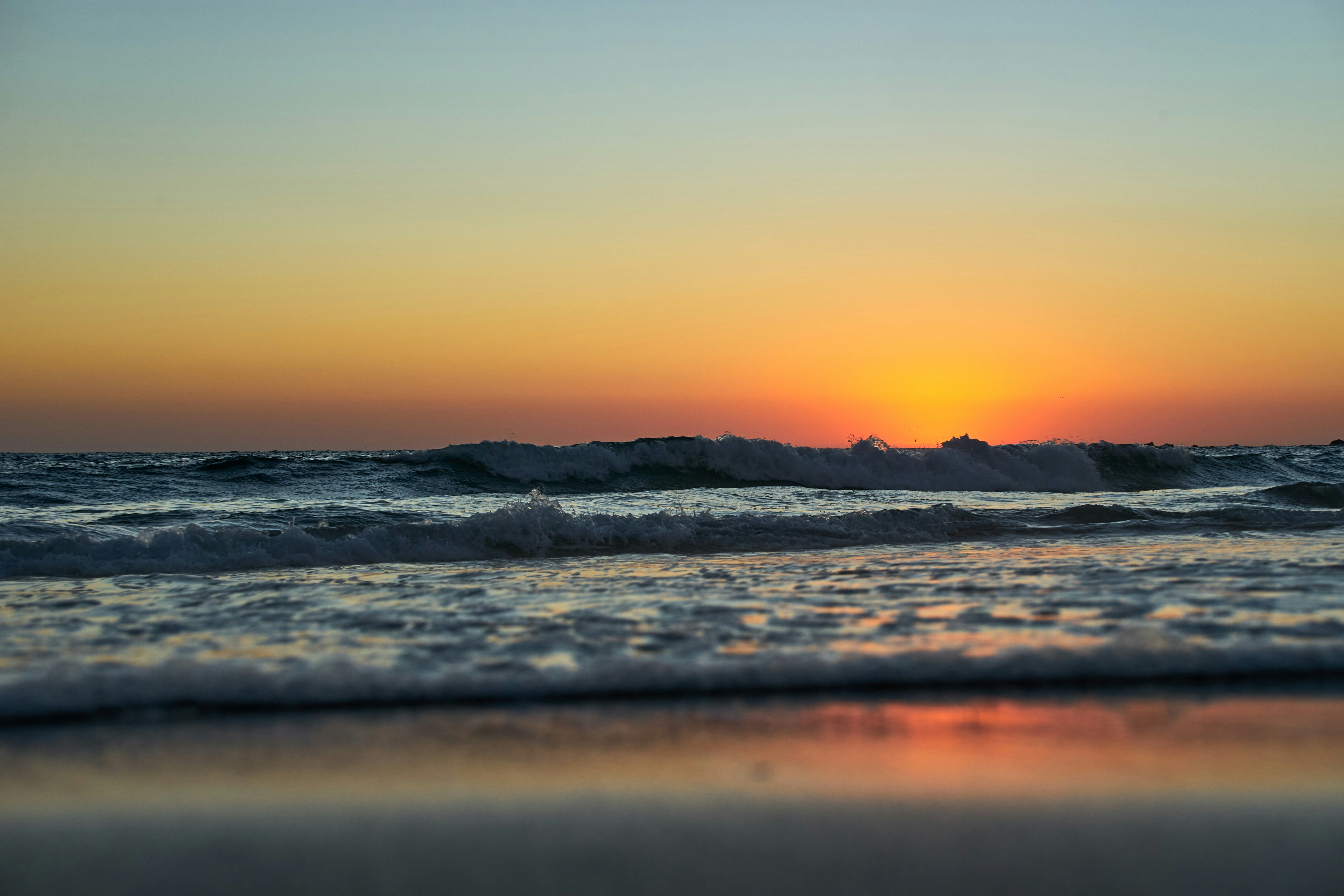 Photo by wolfgang_hasselmann