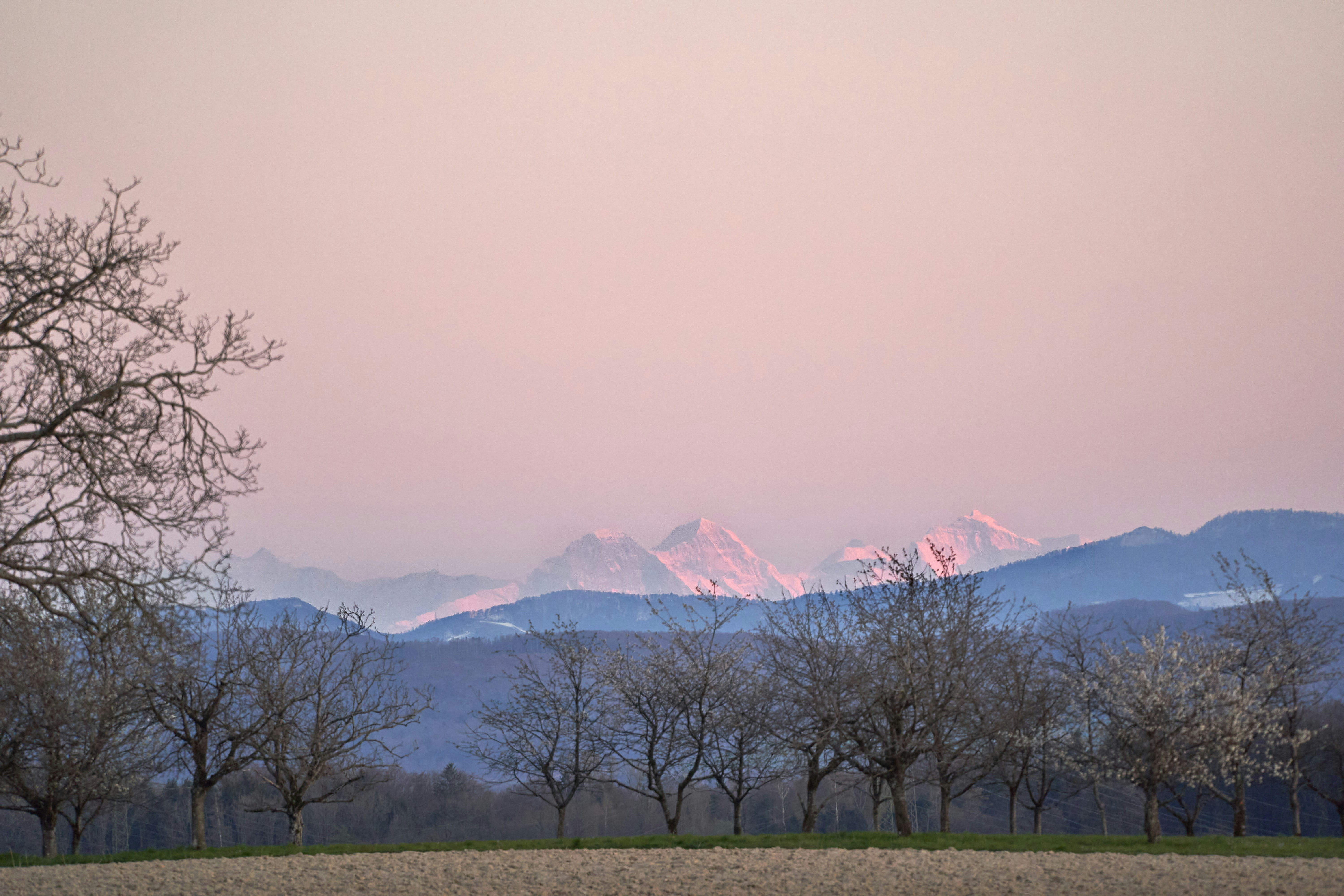 Photo by wolfgang_hasselmann