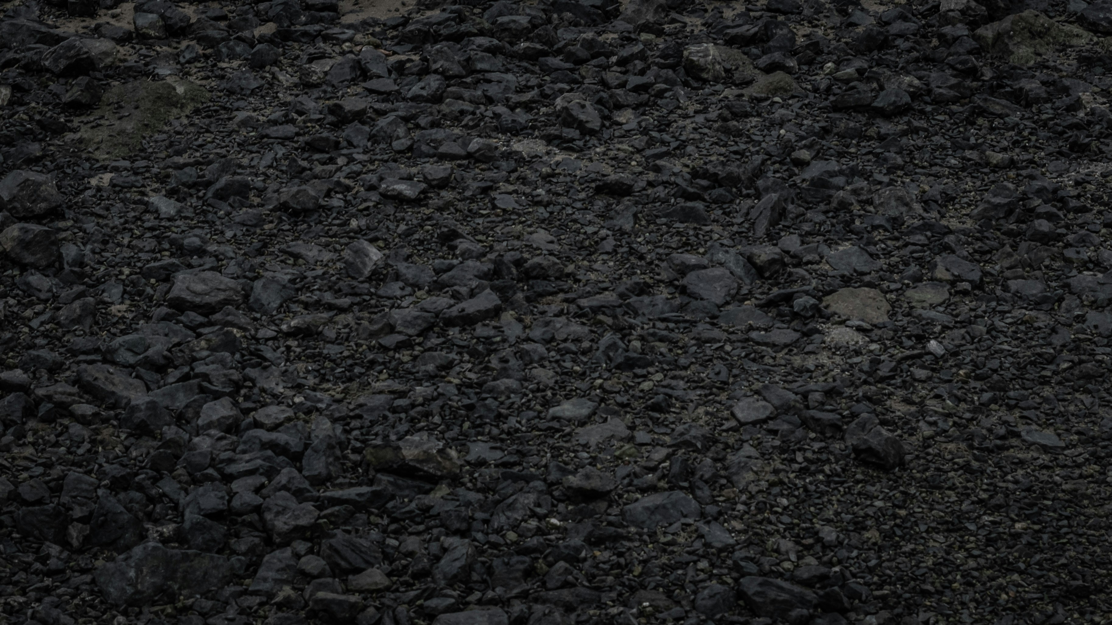 Photo by eikichishutou