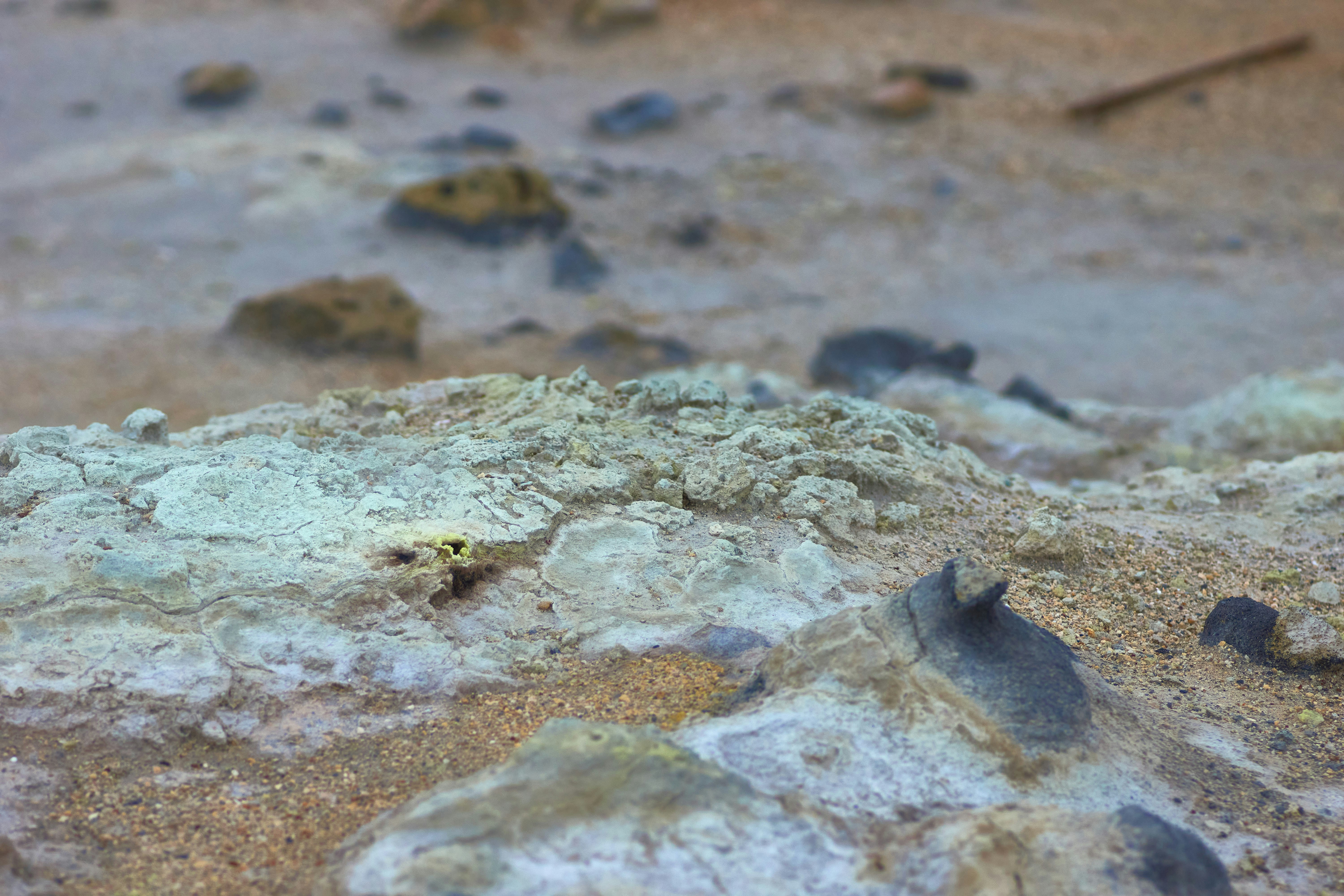 Photo by wolfgang_hasselmann