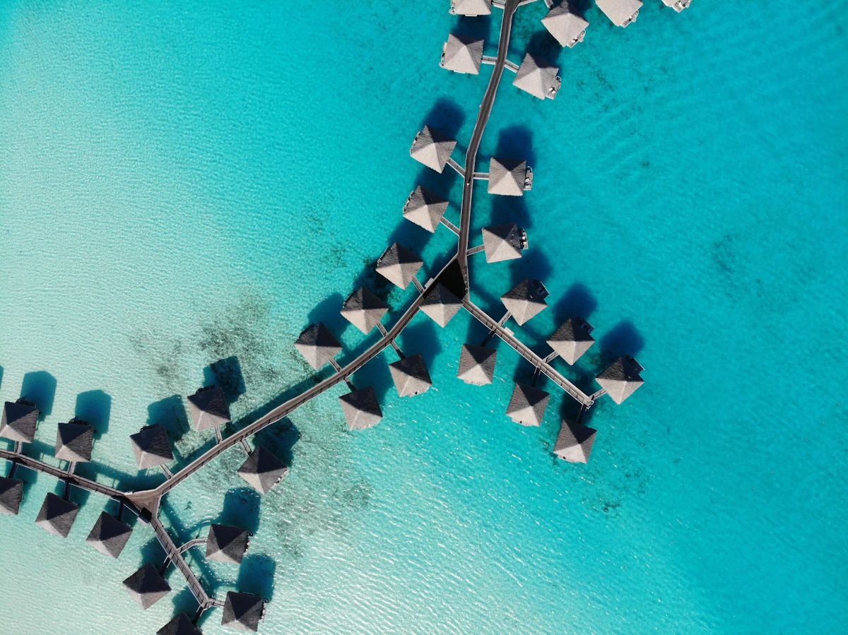 Tropische Natur auf Praslin