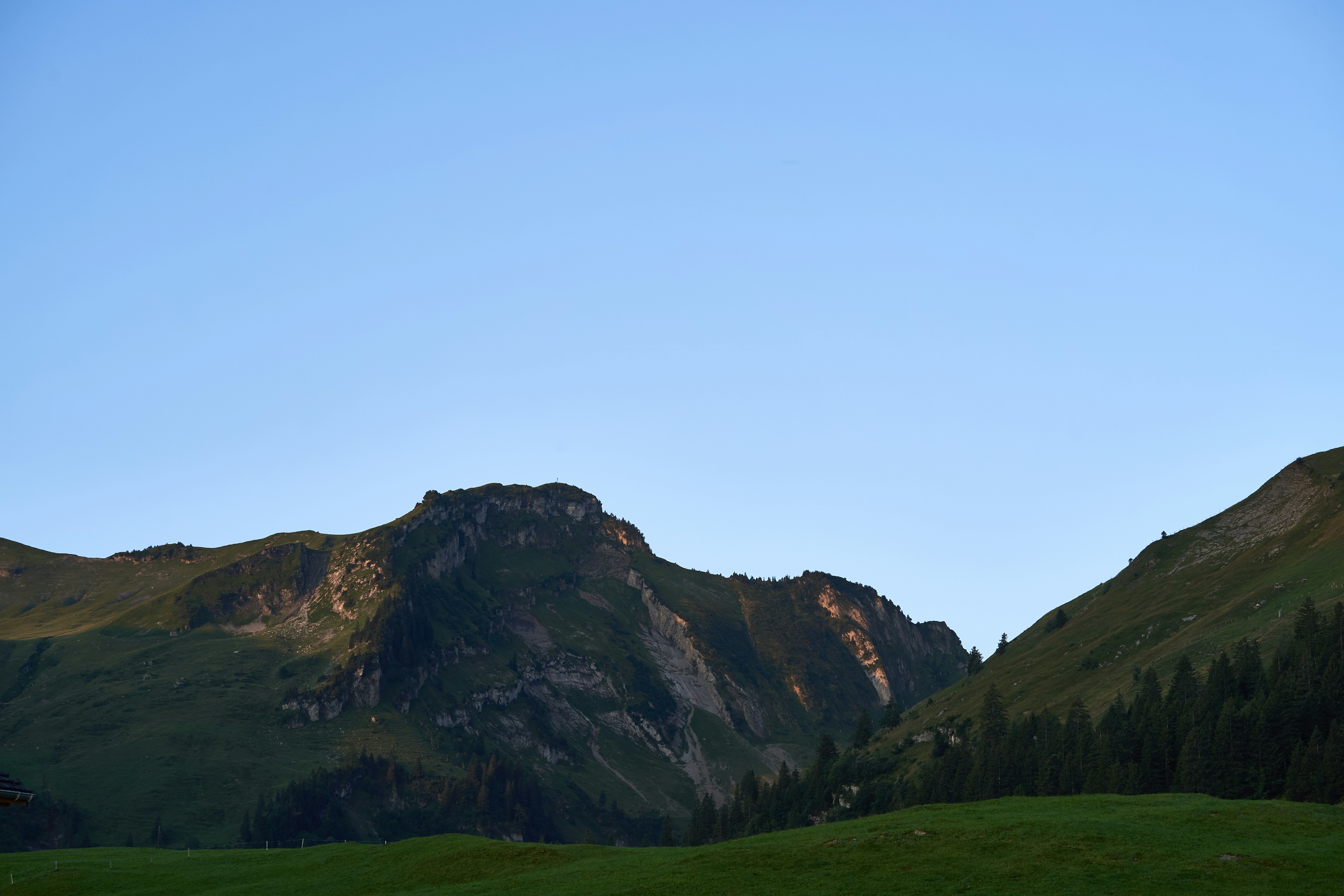 Photo by wolfgang_hasselmann