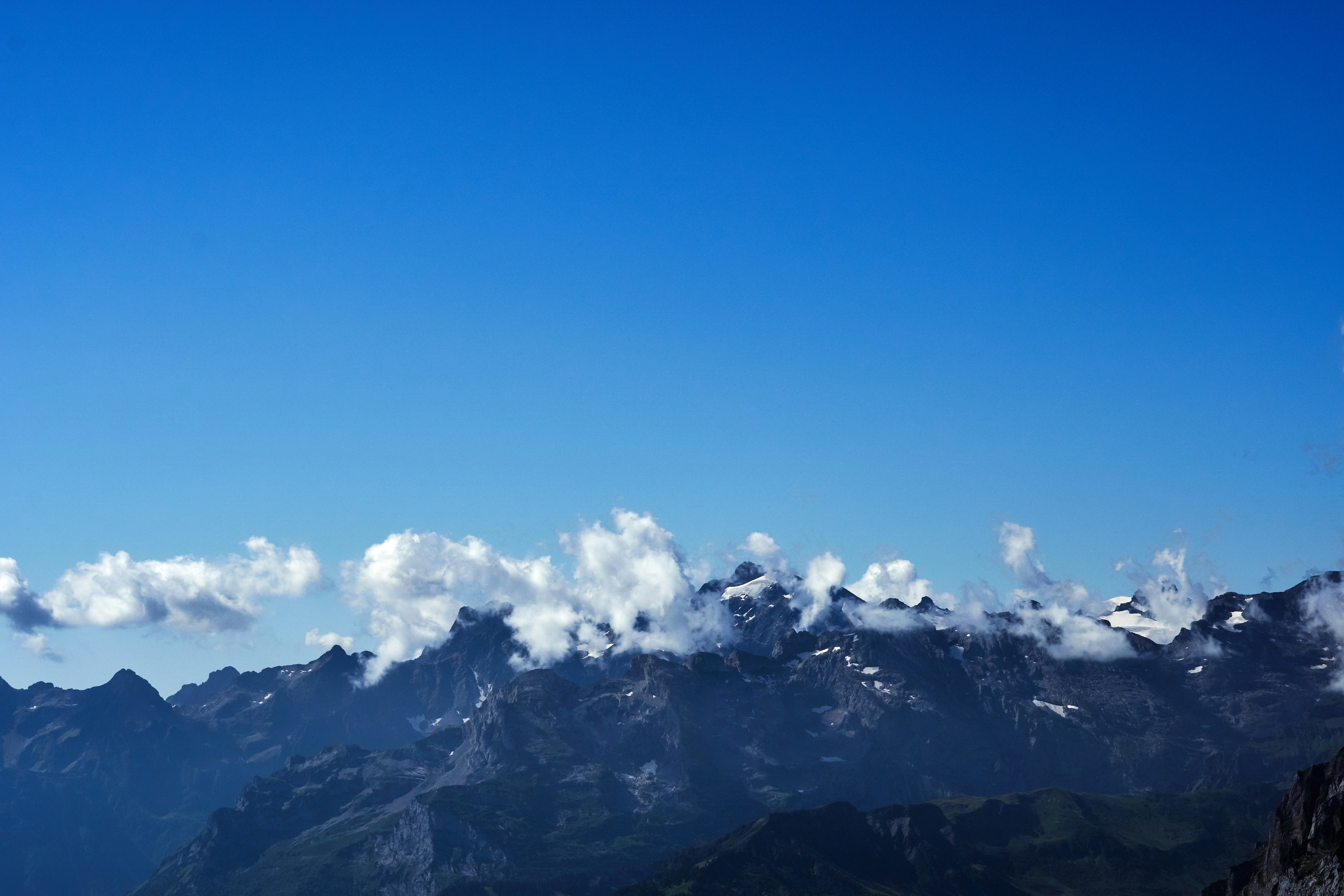 Photo by wolfgang_hasselmann