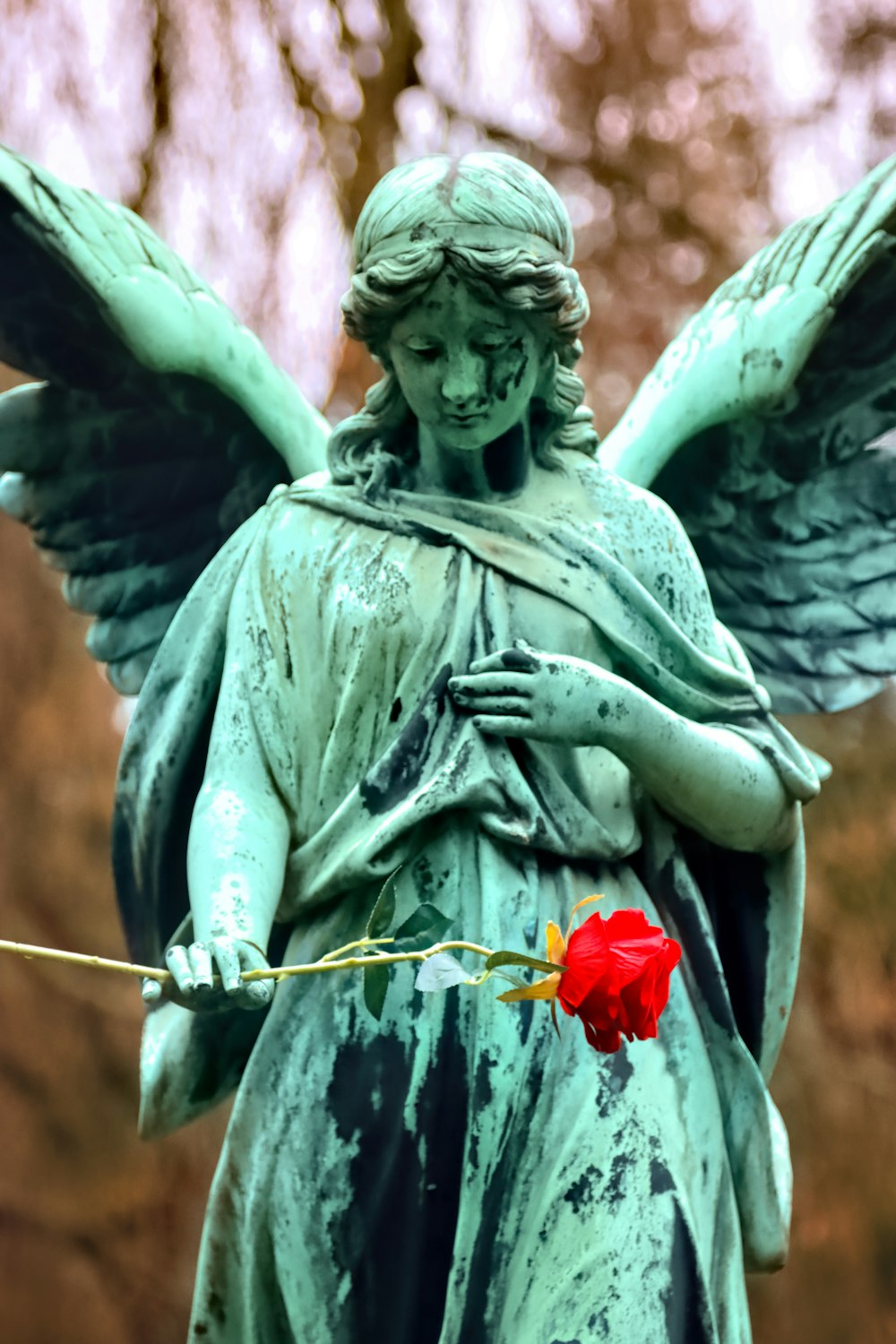 man holding red rose statue