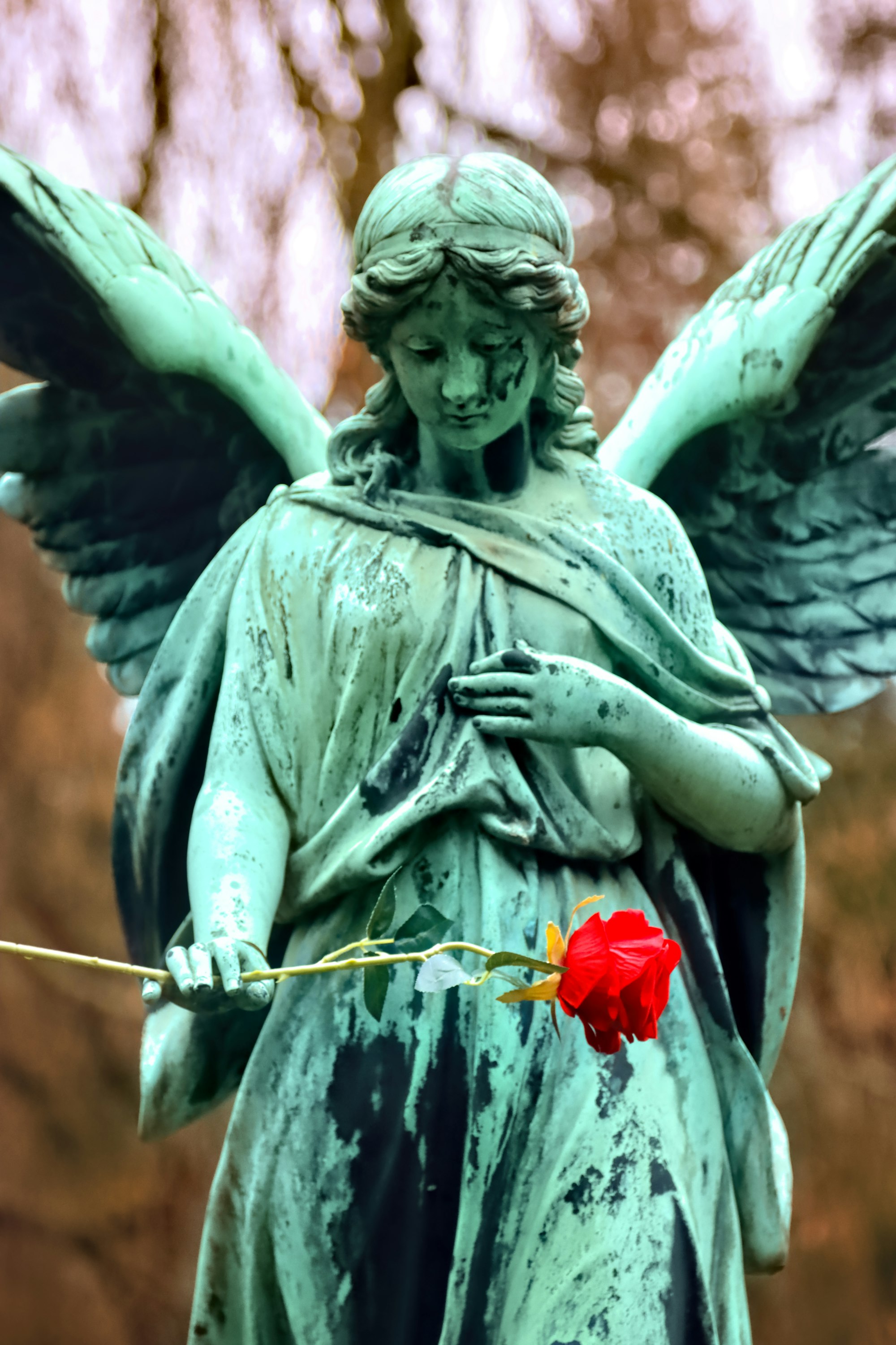 rose, red, angel, woman, beautiful, nice, lovely, Pretty, breasts, Cemetery, green, leaves, foliage, spring, graveyard, gray, grey, Hamburg, Ohlsdorf, green, Body, wings, garden, trees, head, dress, gown, death, tomb, grave, Stone