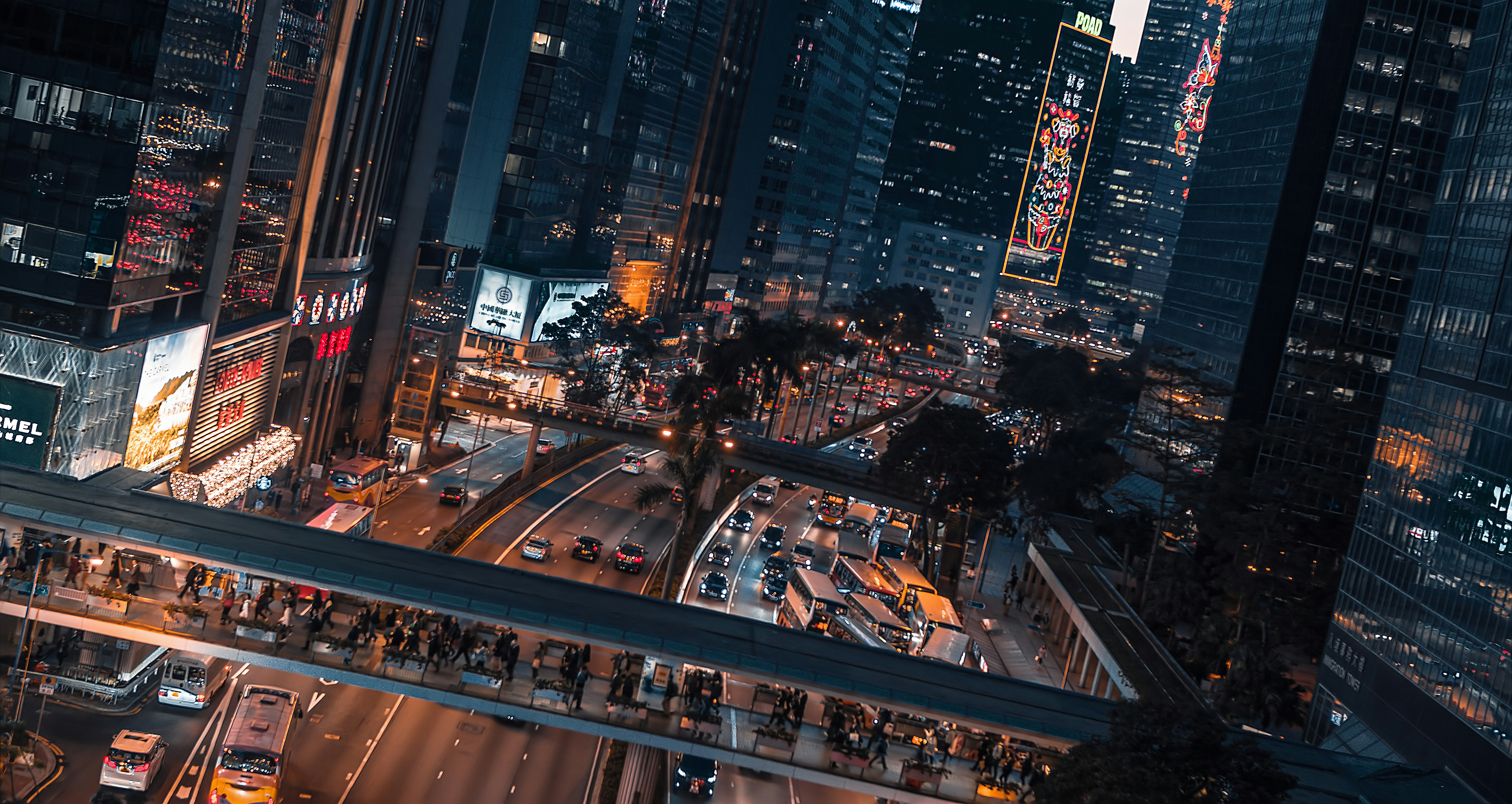 people walking on street during night time