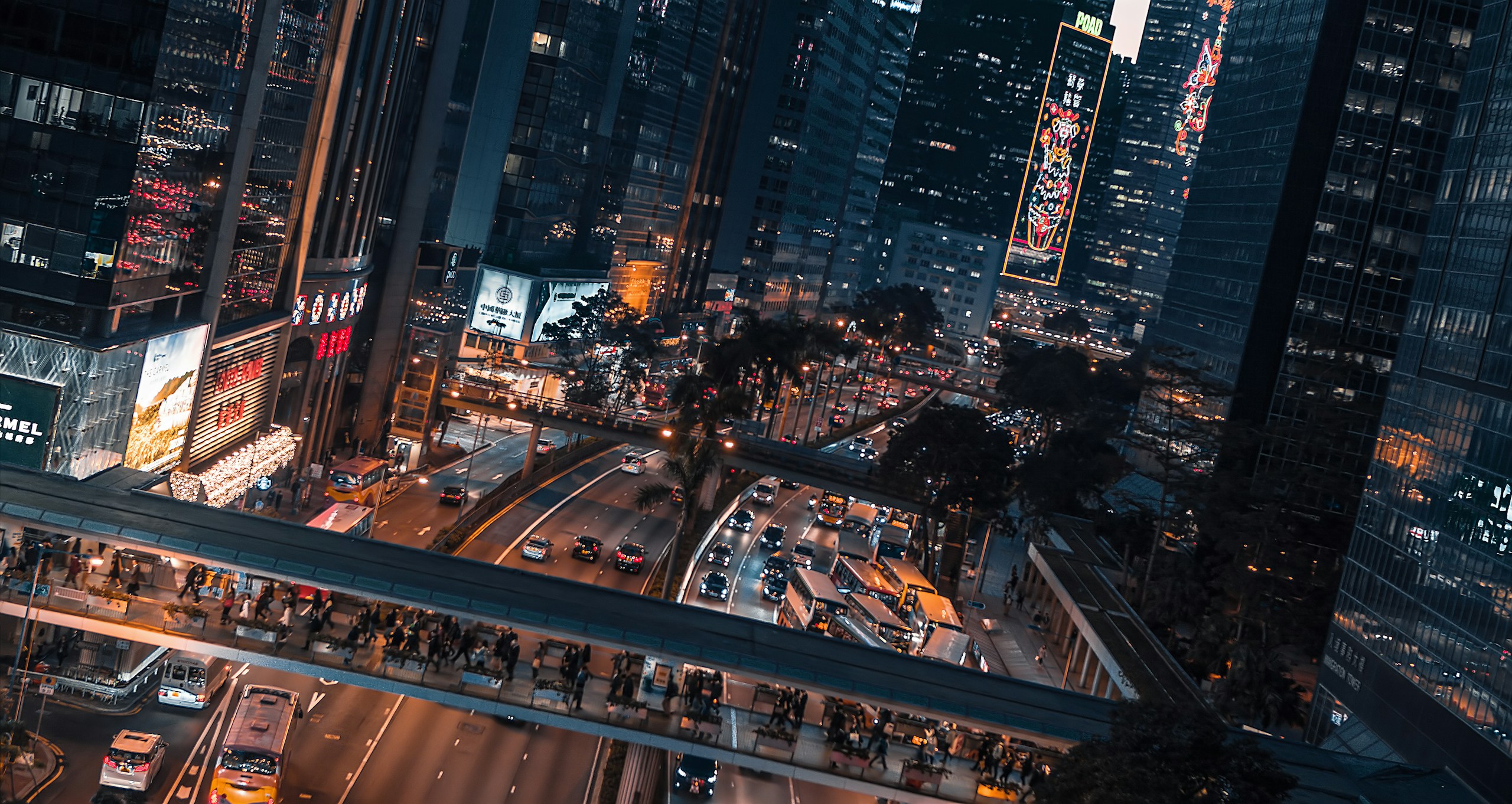 people walking on street during night time