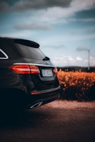 black honda car on road during daytime