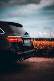 black honda car on road during daytime