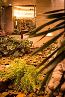 A tranquil indoor garden area with a variety of lush green plants and ferns surrounded by smooth pebbles. In the background, there's a warmly lit storefront featuring a sign that reads 'CATSYARD' with people inside.