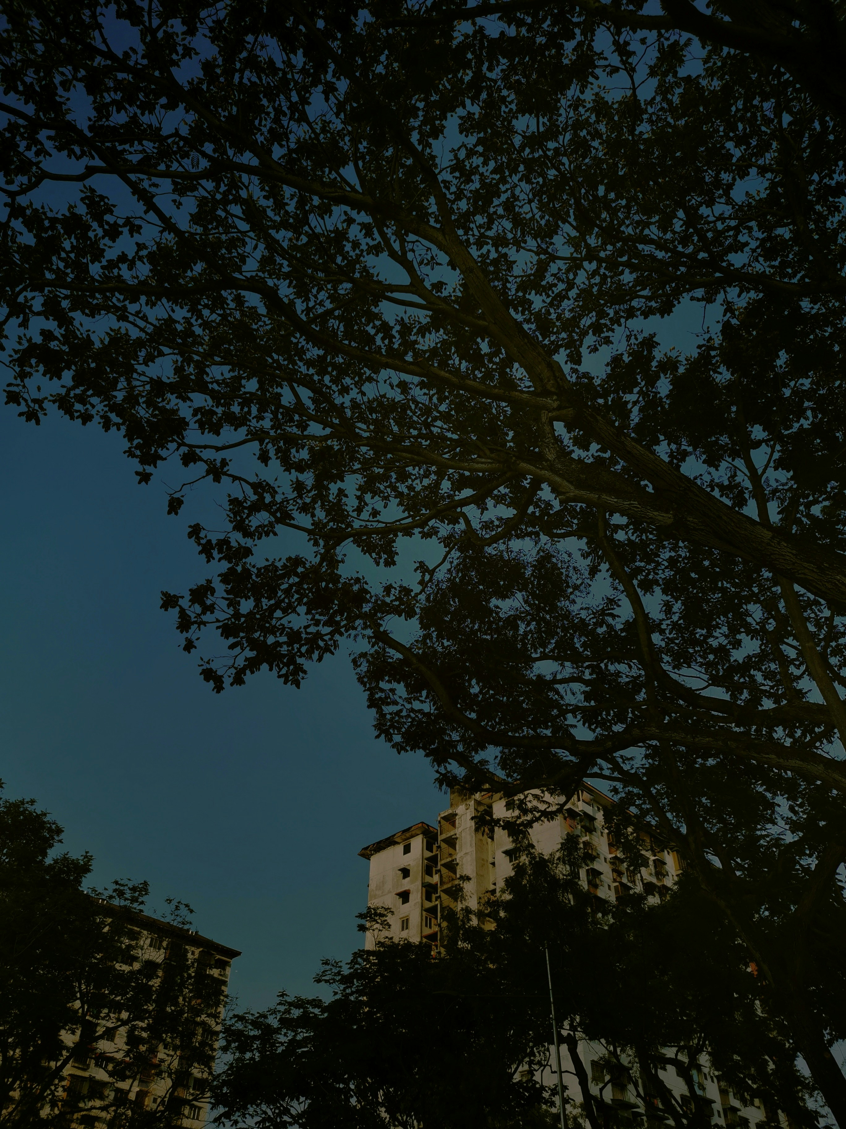 Photo by zienpng
