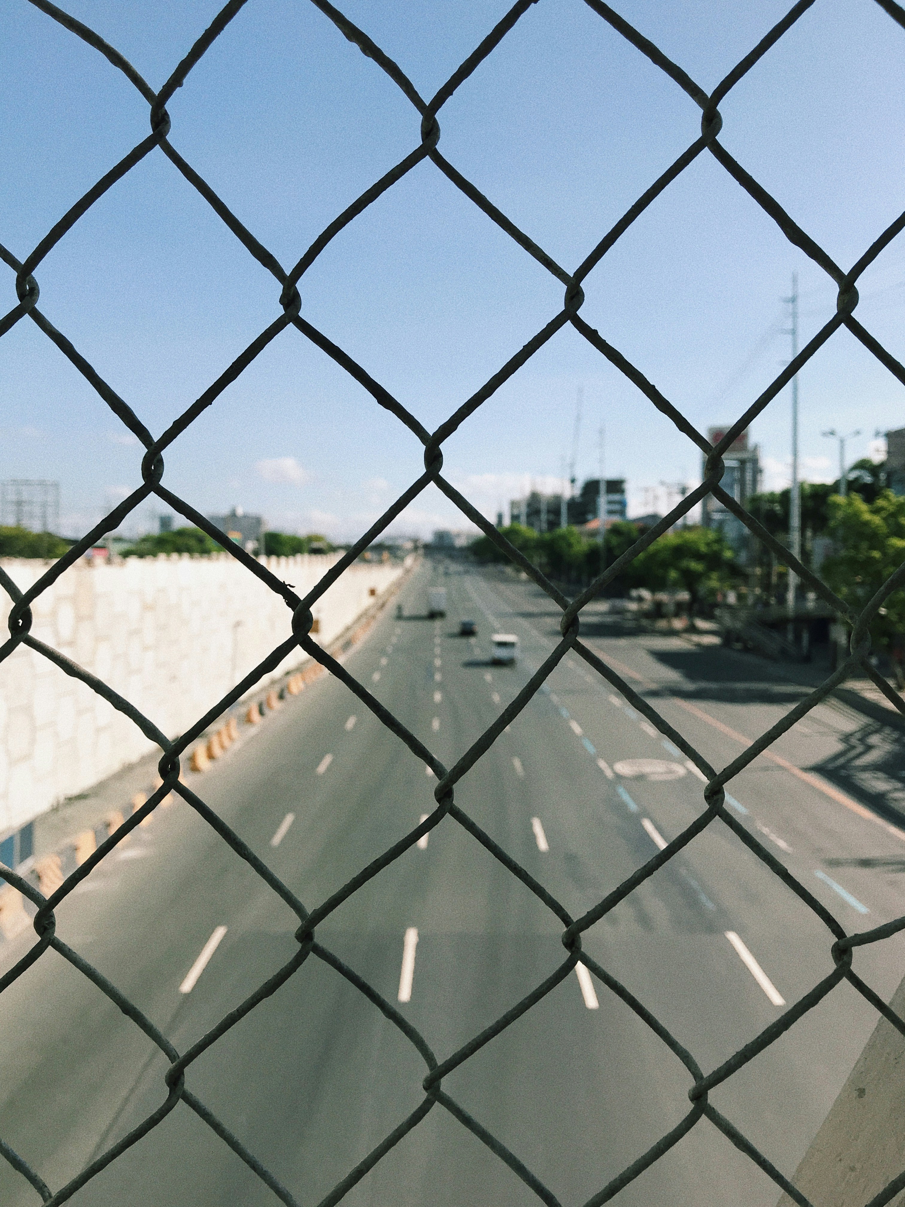 gray metal fence near green trees during daytime