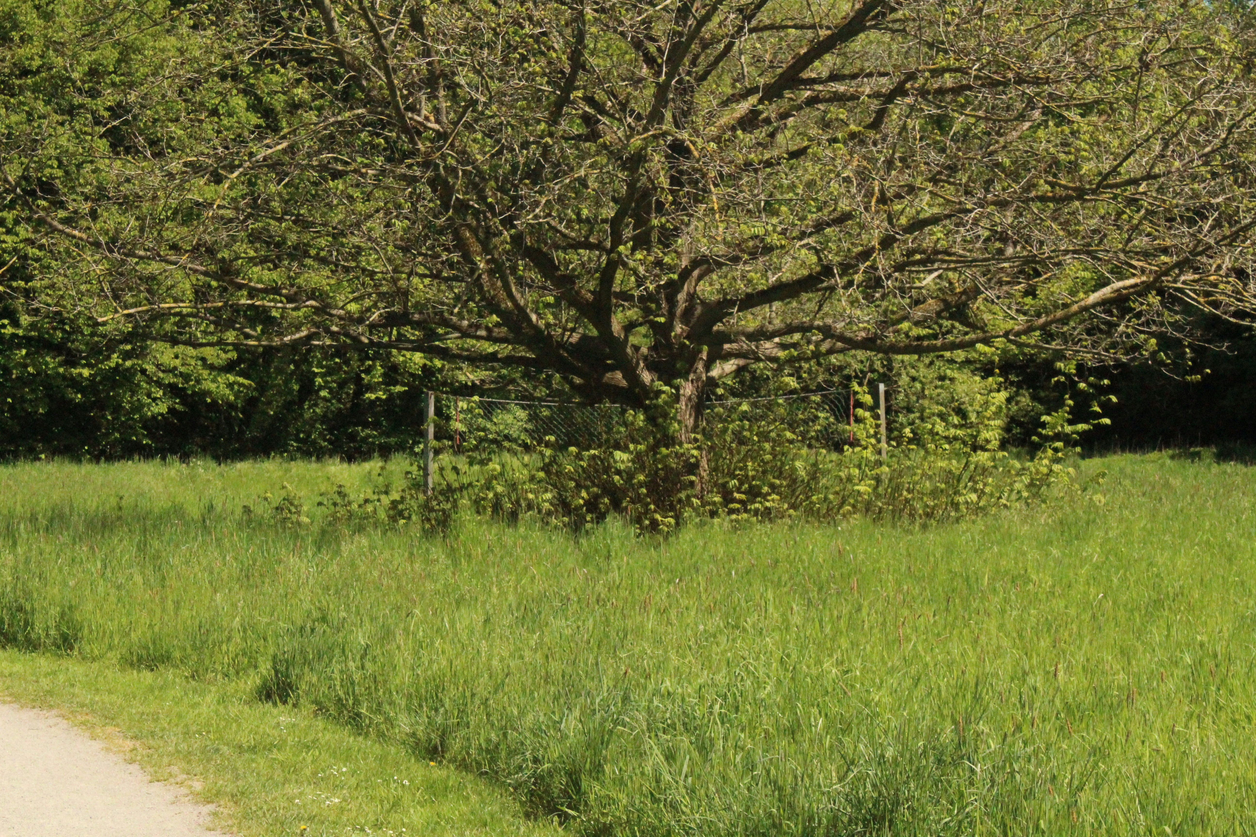 Photo by travel_with_yafee98