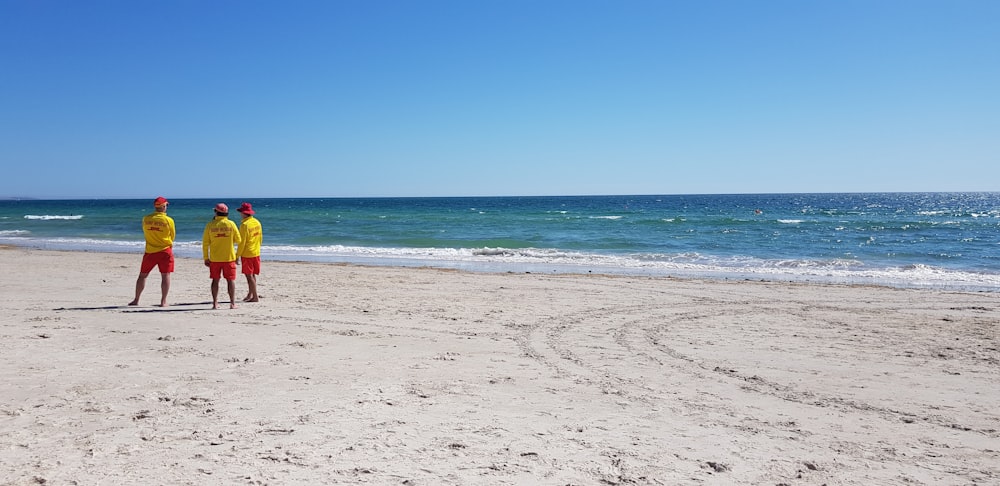 beach shore under blue sky during daytime