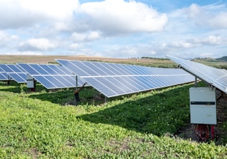 blue solar panels on green grass field under white clouds and blue sky during daytime