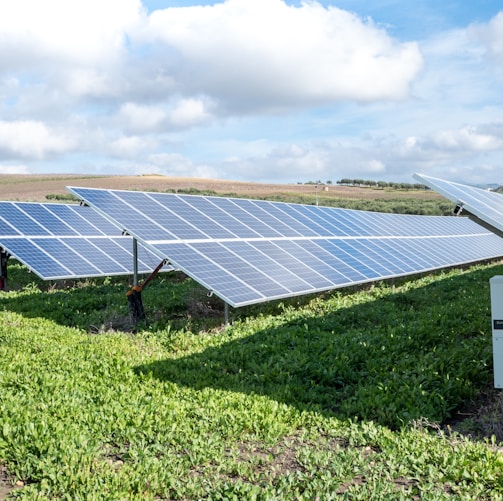 blue solar panels on green grass field under white clouds and blue sky during daytime