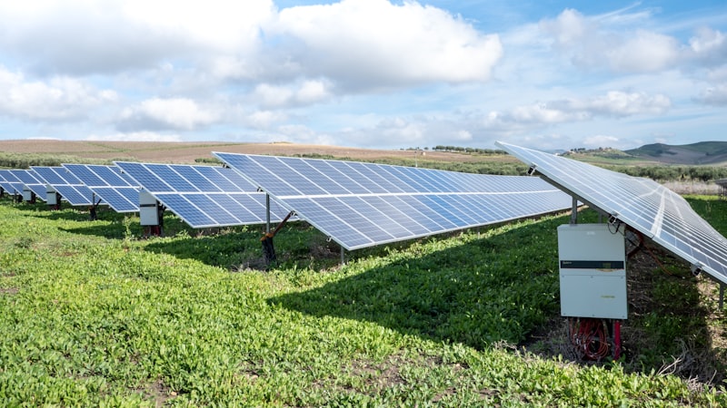 Solarmodule unter blauem Himmel