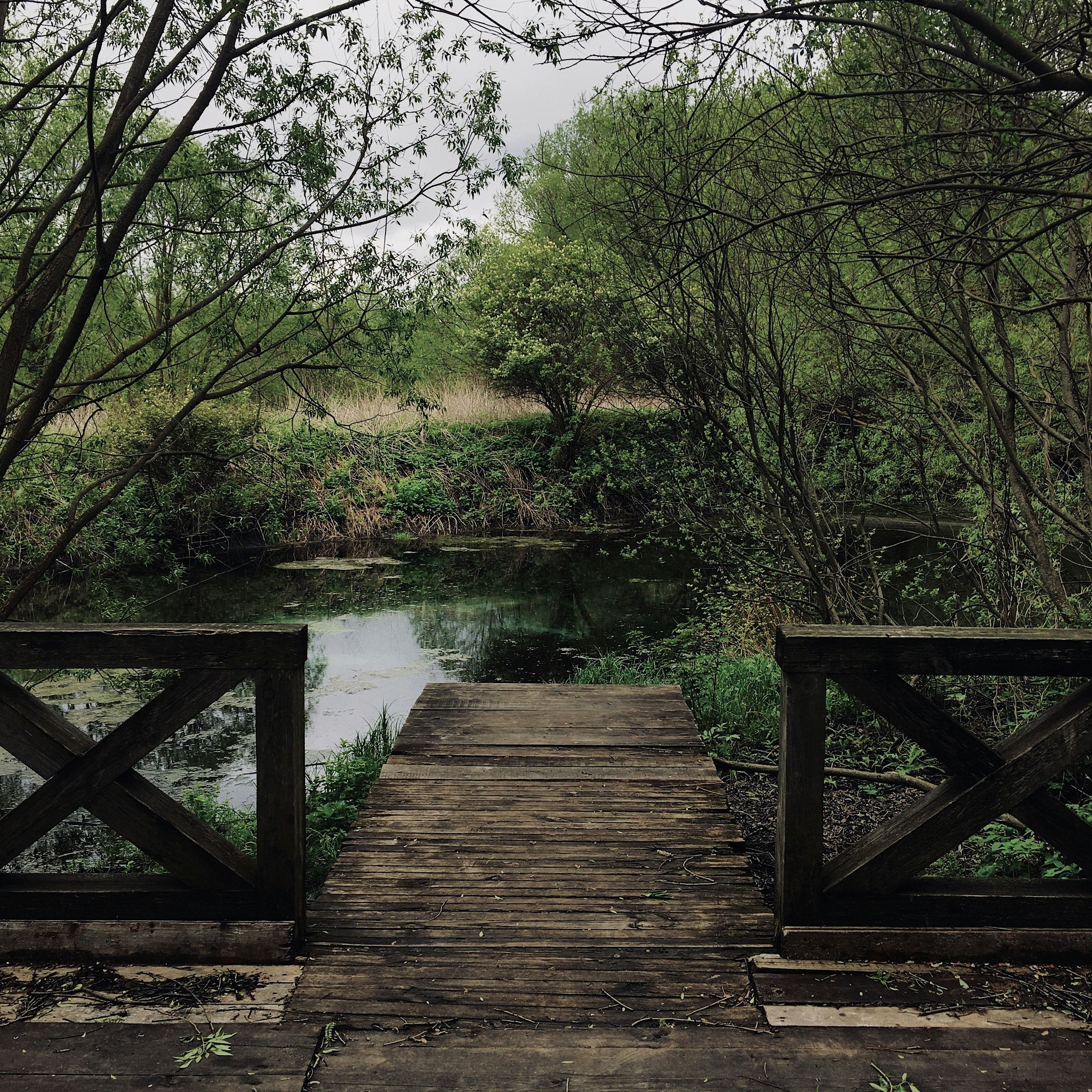 Photo by ereminnikolay